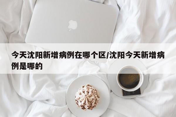 今天沈阳新增病例在哪个区/沈阳今天新增病例是哪的